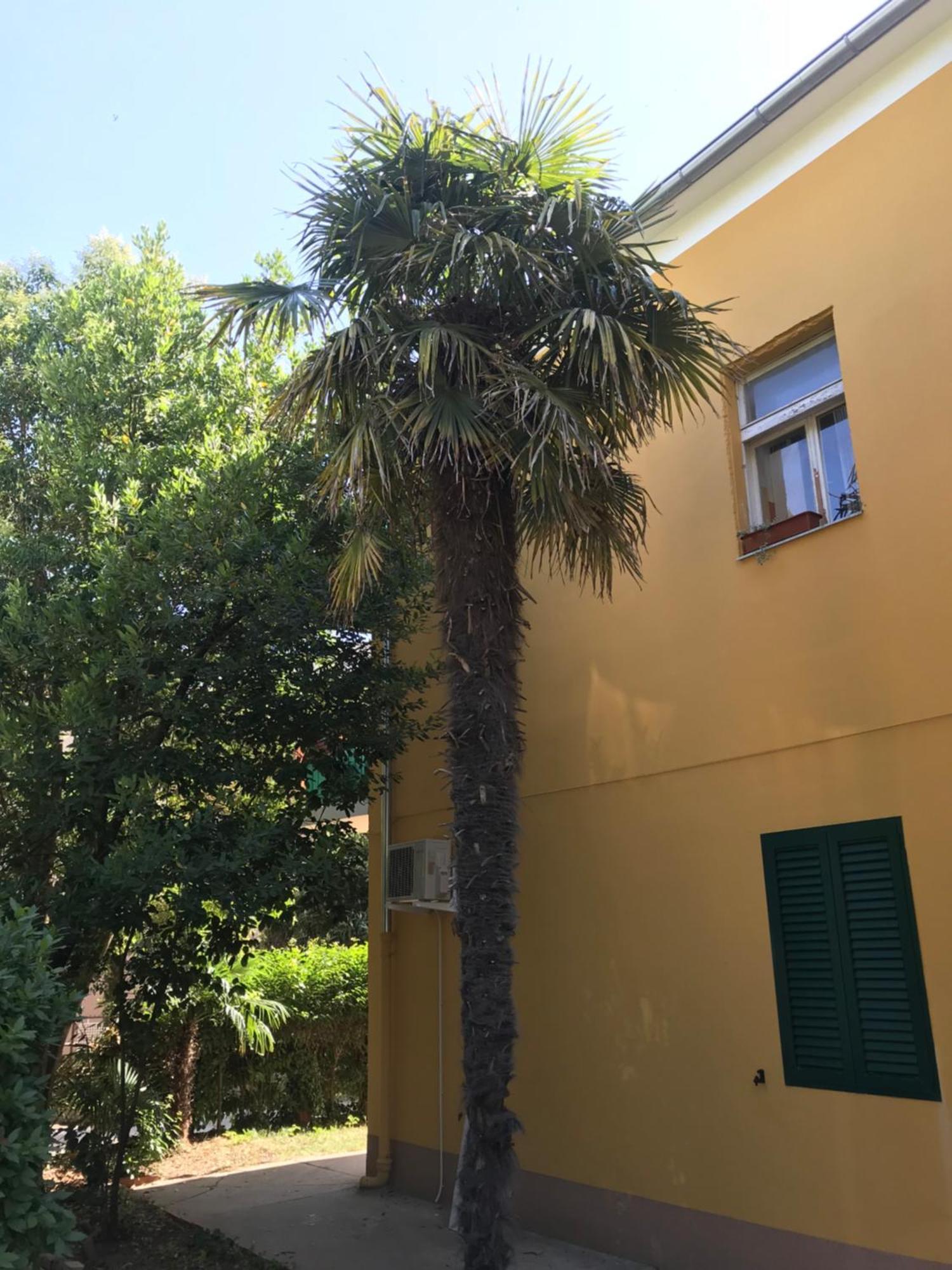 Apartment Zara Sun المظهر الخارجي الصورة
